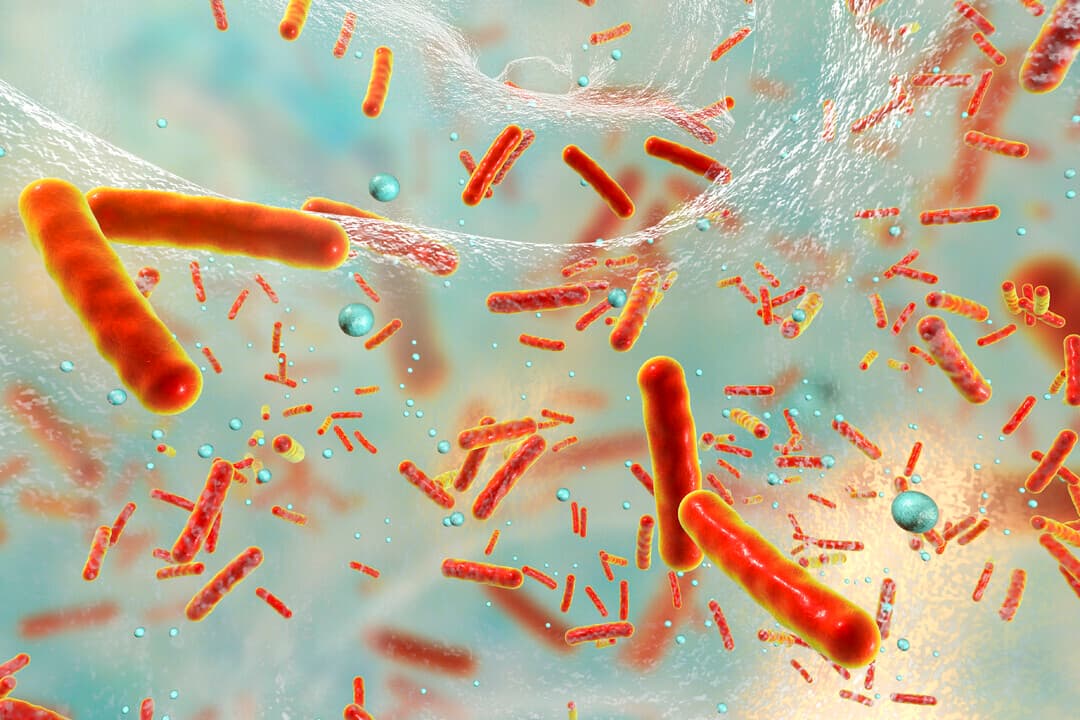 Antimicrobial resistance – are we doing enough to make a difference?