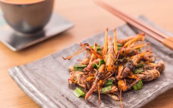 Fried insects - Wood worm insect crispy with pandan after fried and add a light coating of sauce and garnish Thai pepper powder with chopsticks, tea, on wooden background, Select focus